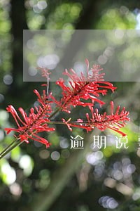 逾期说要上门调查一般几点 逾期说要上门调查一般几点