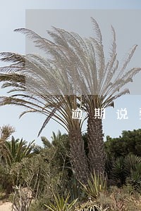 逾期说要冻结所有账户