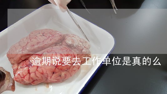 逾期说要去工作单位是真的么