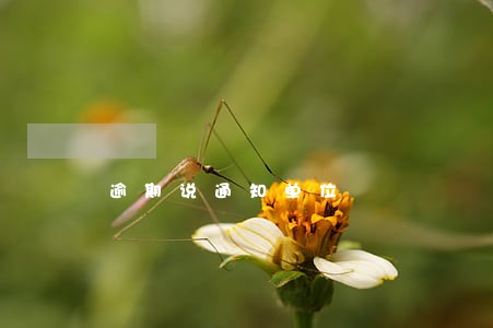 逾期说通知单位 逾期说通知单位