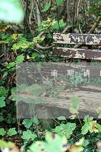 逾期请自行解决 逾期请自行解决