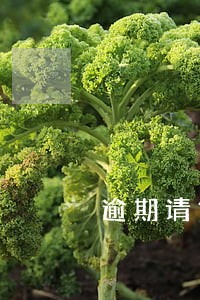 逾期请贷款