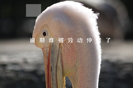 逾期谁被劳动仲裁了 逾期谁被劳动仲裁了