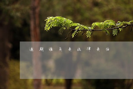 逾期谁负责法律责任 逾期谁负责法律责任