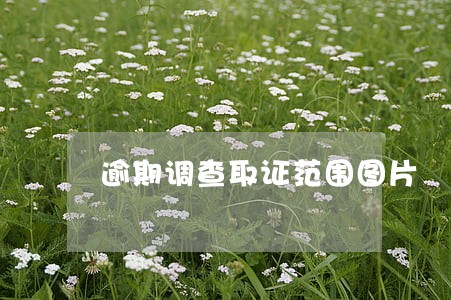 逾期调查取证范围图片 逾期调查取证范围图片