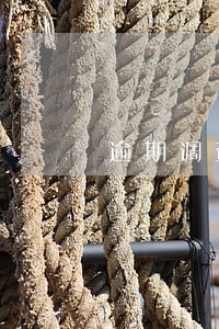 逾期调查取证要上门是真的吗 逾期调查取证要上门是真的吗
