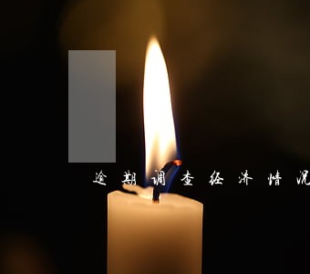 逾期调查经济情况说明 逾期调查经济情况说明