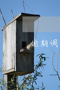 逾期调查通知短信是哪个平台