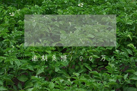 逾期负债100万 逾期负债100万