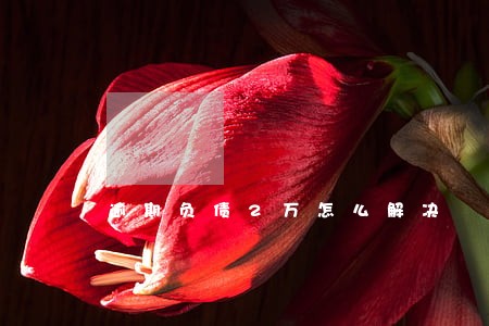 逾期负债2万怎么解决 逾期负债2万怎么解决