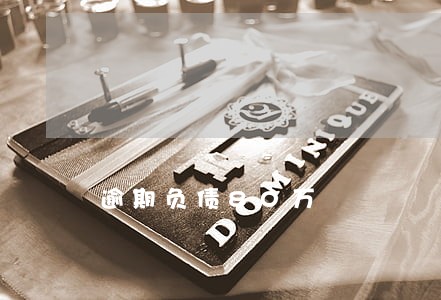 逾期负债80万 逾期负债80万