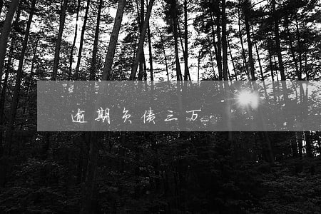 逾期负债三万 逾期负债三万