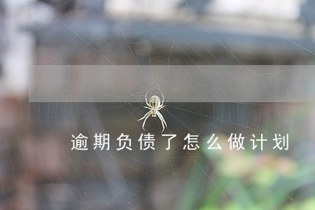 逾期负债了怎么做计划 逾期负债了怎么做计划