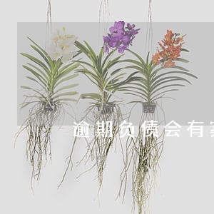 逾期负债会有案底吗 逾期负债会有案底吗
