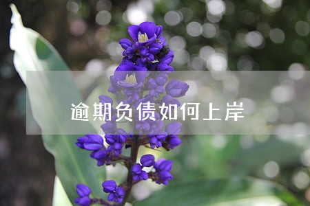 逾期负债如何上岸 逾期负债如何上岸