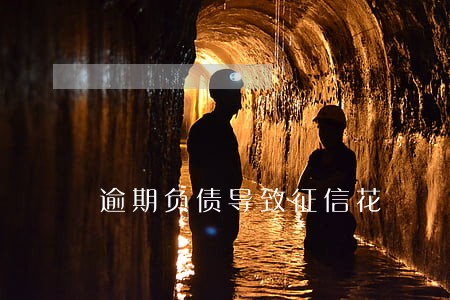 逾期负债导致征信花 逾期负债导致征信花
