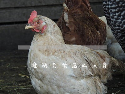 逾期负债怎么上岸