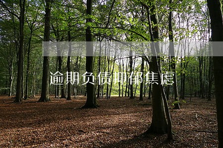 逾期负债抑郁焦虑 逾期负债抑郁焦虑
