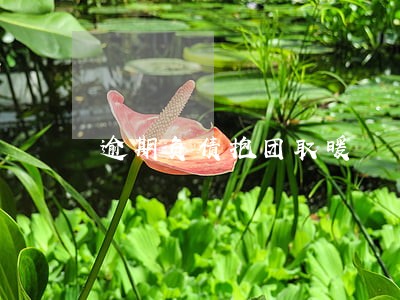 逾期负债抱团取暖 逾期负债抱团取暖