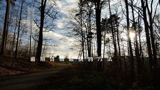 逾期负债最快的方法 逾期负债最快的方法