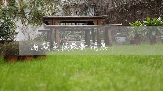 逾期负债最新消息 逾期负债最新消息