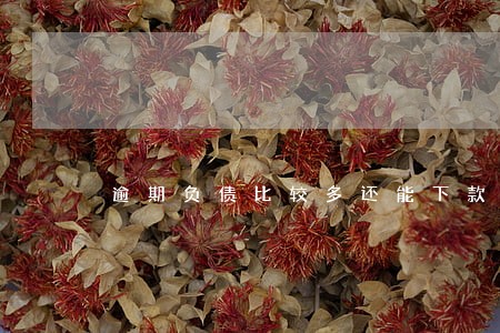 逾期负债比较多还能下款吗 逾期负债比较多还能下款吗