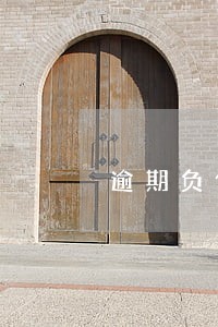 逾期负债的例子 逾期负债的例子