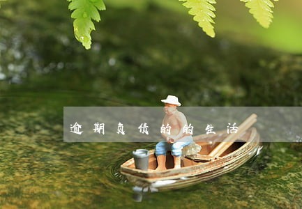 逾期负债的的生活