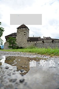 逾期负债的群 逾期负债的群