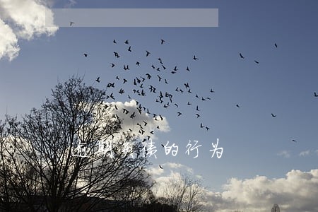 逾期负债的行为 逾期负债的行为