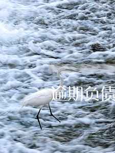 逾期负债空间
