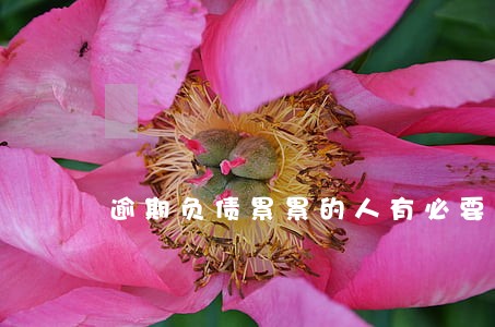 逾期负债累累的人有必要买个车吗 逾期负债累累的人有必要买个车吗