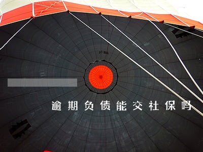 逾期负债能交社保吗 逾期负债能交社保吗