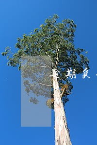逾期负债记录 逾期负债记录