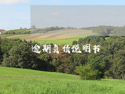 逾期负债说明书 逾期负债说明书
