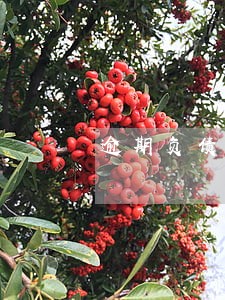逾期负债还不起了怎么办 逾期负债还不起了怎么办