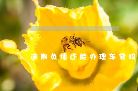 逾期负债还能办理车贷吗 逾期负债还能办理车贷吗