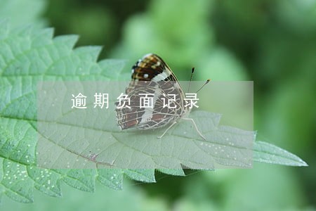 逾期负面记录 逾期负面记录