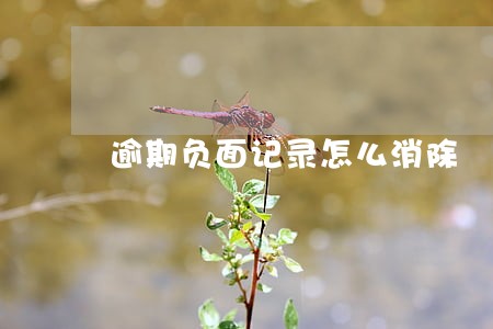 逾期负面记录怎么消除 逾期负面记录怎么消除
