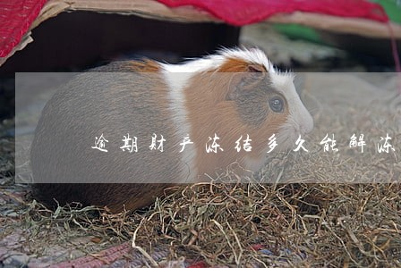 逾期财产冻结多久能解冻