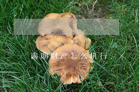 逾期财产怎么执行 逾期财产怎么执行