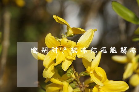 逾期财产被冻结还能解冻吗 逾期财产被冻结还能解冻吗