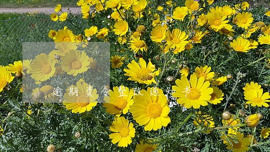 逾期责令整改通知书
