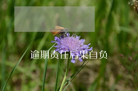 逾期责任后果自负 逾期责任后果自负