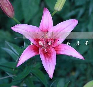 逾期责任和后果 逾期责任和后果