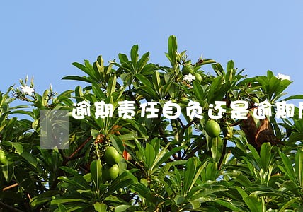 逾期责任自负还是逾期后果自负 逾期责任自负还是逾期后果自负