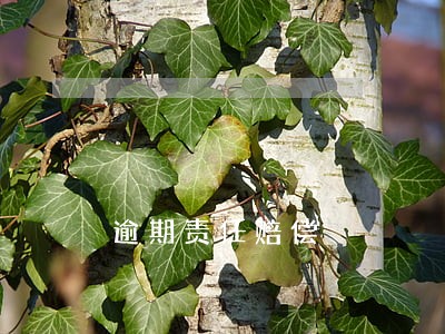 逾期责任赔偿 逾期责任赔偿