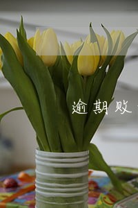 逾期败诉承担不起律师费 逾期败诉承担不起律师费