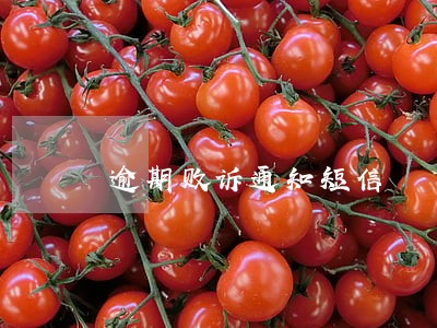 逾期败诉通知短信 逾期败诉通知短信