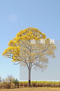 逾期账单一千万图片 逾期账单一千万图片